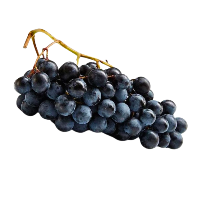 Imagem da Fruta da Uva Vitória da AgroJardim