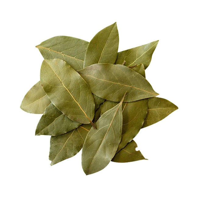 Imagem da Folha do Louro Tempero da AgroJardim