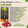 Imagem da Ficha Técnica da Lichia da AgroJardim