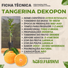 Imagem da Ficha Técnica da Tangerina Dekopon da AgroJardim