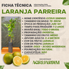 Imagem da Ficha Técnica da Laranja Parreira da AgroJardim