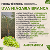 Imagem da Ficha Técnica da Uva Niágara Branca da AgroJardim