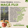 Imagem da Ficha Técnica da Maçã Fuji da AgroJardim