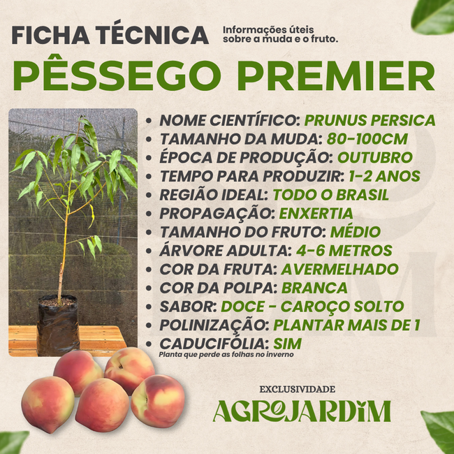 Imagem da Ficha Técnica do Pêssego Premier da AgroJardim