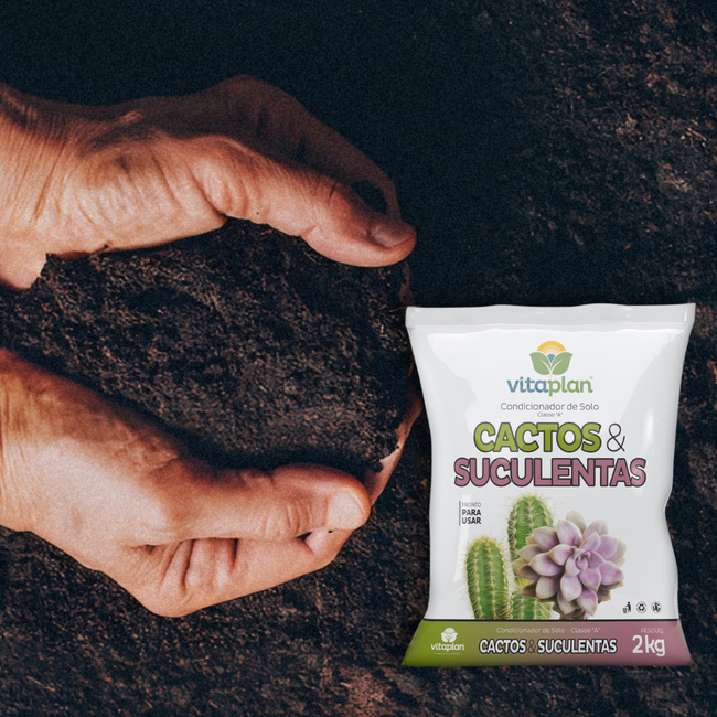 Imagem do Condicionador de Solo Para Cactos e Suculentas da Vitaplan no Ambiente da AgroJardim