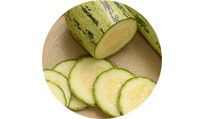 Imagem das Sementes de Abobrinha Caserta Italiana da AgroJardim