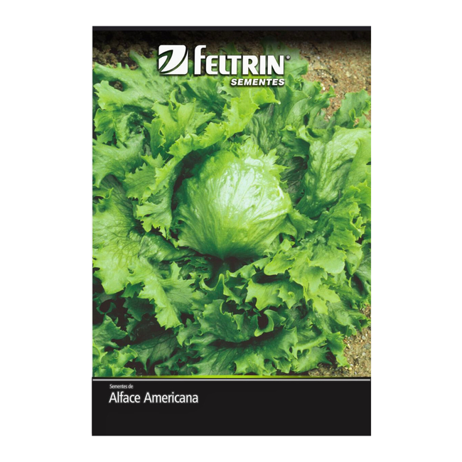 Imagem das Sementes de Alface Americana Rafaela da Feltrin da AgroJardim