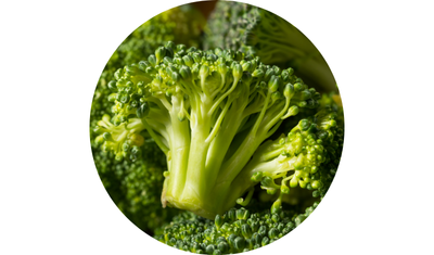 Imagem das Sementes de Br&oacute;colis Calabr&ecirc;s de Cabe&ccedil;a da AgroJardim