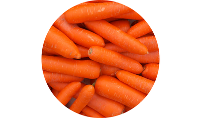 Imagem das Sementes de Cenoura Nantes Milena Meia Esta&ccedil;&atilde;o da AgroJardim