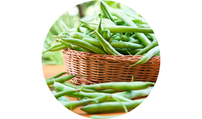 Imagem das Sementes de Feij&atilde;o Macarr&atilde;o Trepador Tempesta da AgroJardim