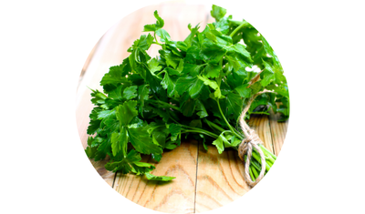 Imagem das Sementes de Salsa Lisa da AgroJardim