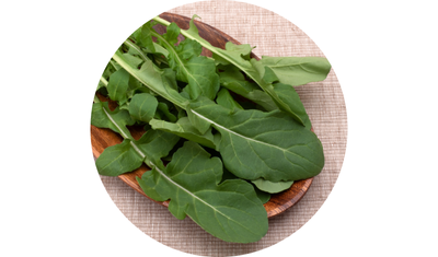 Imagem das Sementes de R&uacute;cula Cultivada da AgroJardim