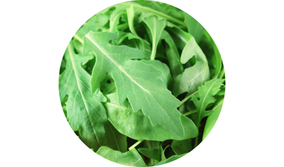 Imagem das Sementes de R&uacute;cula Cultivada da AgroJardim