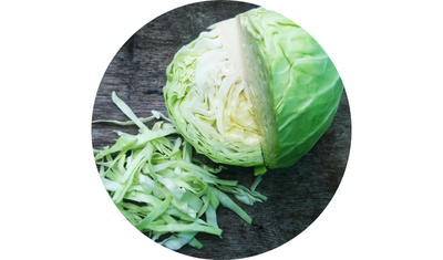 Imagem das Sementes de Repolho Verde 60-Dias da AgroJardim