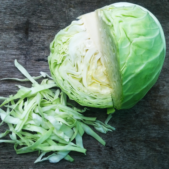 Imagem das Sementes de Repolho Verde 60 Dias da Feltrin no Ambiente da AgroJardim