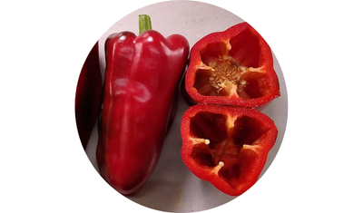 Imagem das Sementes de Piment&atilde;o Vermelho Rubi Gigante da AgroJardim