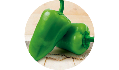 Imagem das Sementes de Piment&atilde;o Verde Casca Dura Ikeda da AgroJardim
