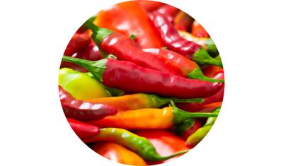 Imagem das Sementes de Pimenta Dedo de Mo&ccedil;a da AgroJardim