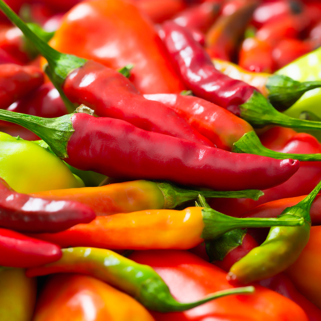 Imagem das Sementes de Pimenta Dedo de Moça da Feltrin no Ambiente da AgroJardim