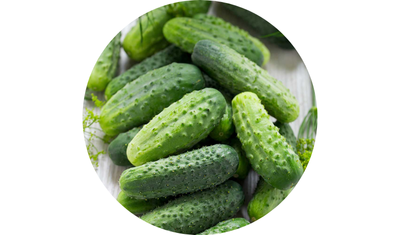 Imagem das Sementes de Pepino Conserva Pioneiro da AgroJardim