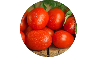 Imagem das Sementes de Tomate Saladete Bart&ocirc; da AgroJardim