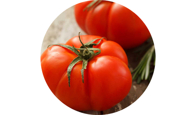 Imagem das Sementes de Tomate Salada Ga&uacute;cho Melhorado da AgroJardim