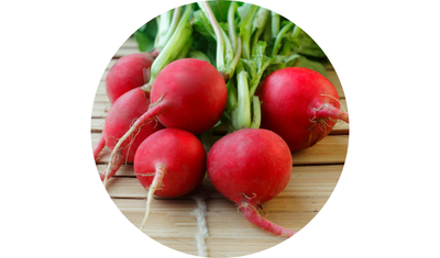 Imagem das Sementes de Rabanete Redondo Crimson Gigante da AgroJardim