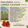 Imagem da Ficha Técnica do Limão Caviar Vermelho da AgroJardim