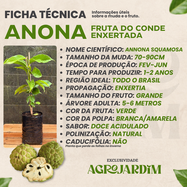 Imagem da Ficha Técnica da Anona Enxertada AgroJardim