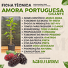 Imagem da Ficha Técnica da Amora Portuguesa da AgroJardim