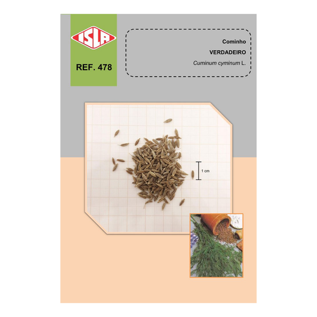 Imagem das Sementes de Cominho Verdadeiro da Isla da AgroJardim