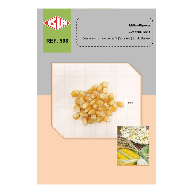 Imagem das Sementes de Milho Pipoca Americano Isla da AgroJardim