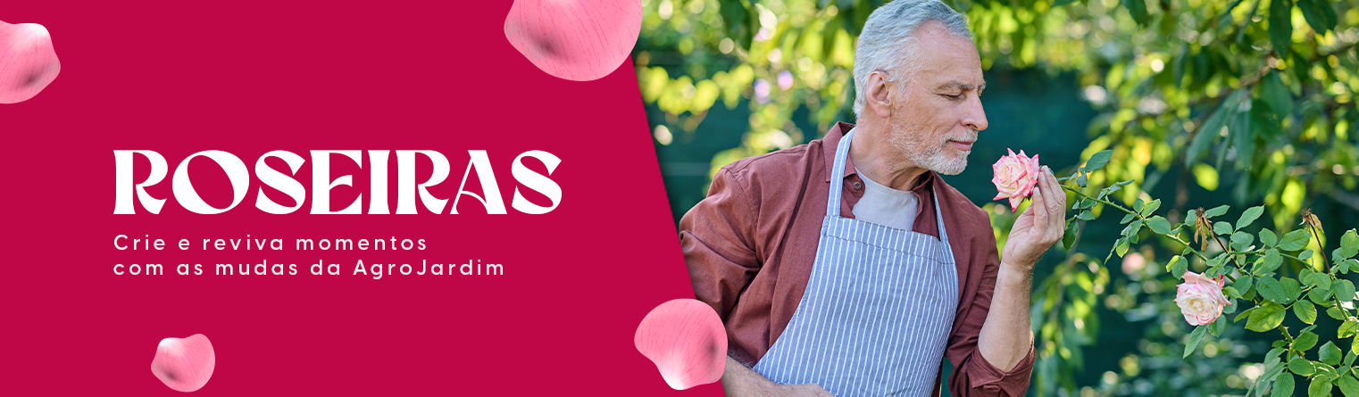 roseiras