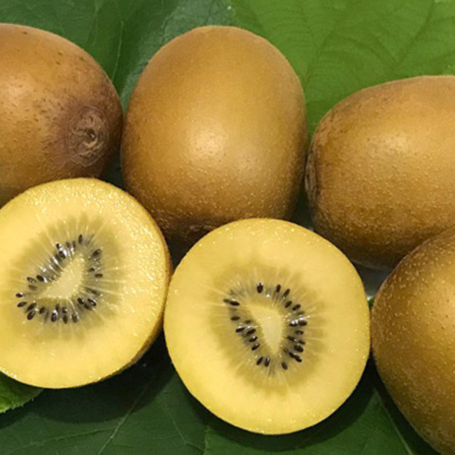 Imagem da Árvore do Kiwi Sorelli da AgroJardim