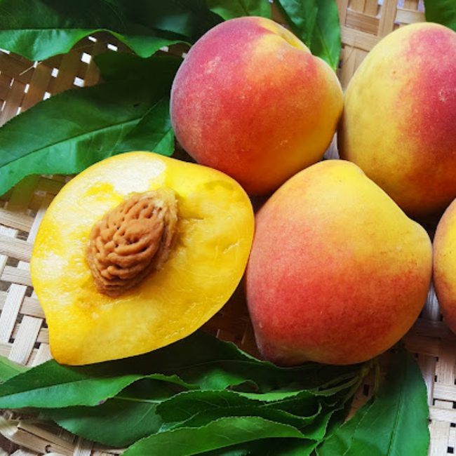 Imagem da Árvore do Pêssego Aurora da AgroJardim