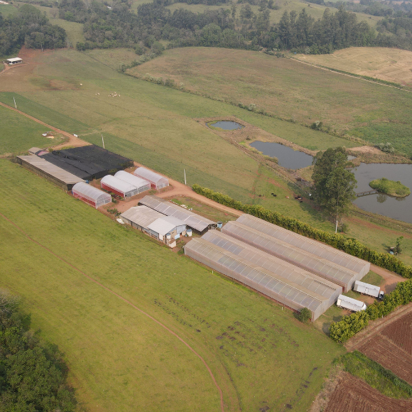 Imagem Estrutura Viveiro da AgroJardim