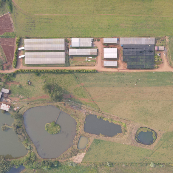 Imagem da Estrutura Viveiro da AgroJardim