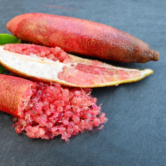 Imagem Fruto do Lim&atilde;o Caviar Vermelho