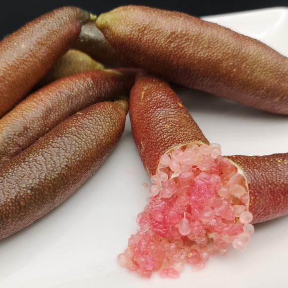 Imagem Fruto do Lim&atilde;o Caviar Vermelho