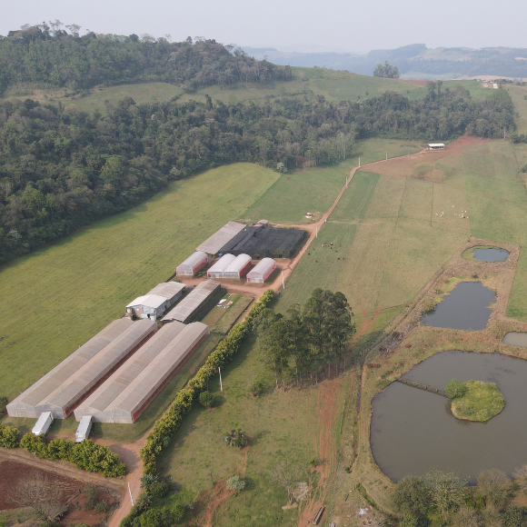 Imagem da Estrutura Viveiro da AgroJardim