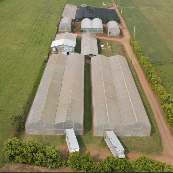 Imagem Estrutura Viveiro da AgroJardim