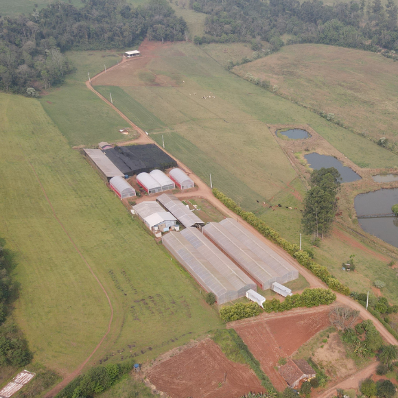 Imagem da Estrutura Viveiro da AgroJardim