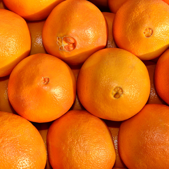 Imagem Fruto da Laranja Bahia