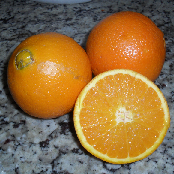 Imagem Fruto da Laranja Bahia