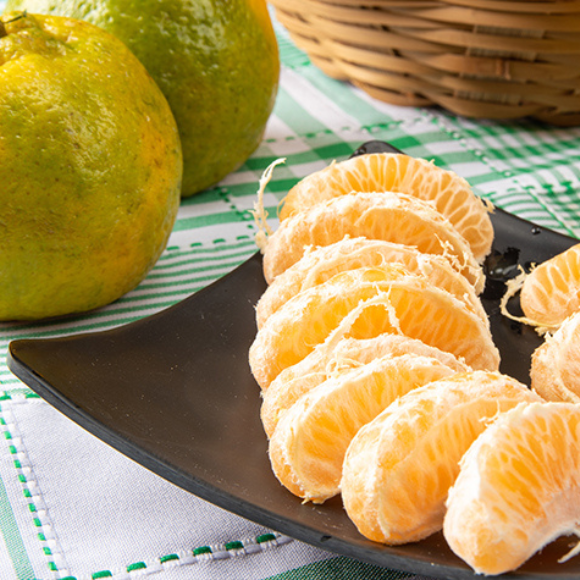 Imagem Fruto da Tangerina Ponkan