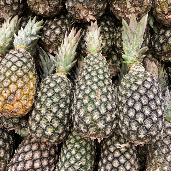 Imagem Fruto do Abacaxi Pérola