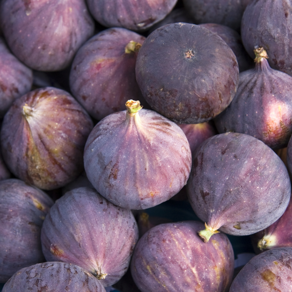 Imagem Fruto do Figo Roxo de Valinhos