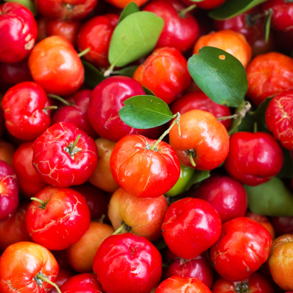 Imagem Fruto da Acerola Jaburu