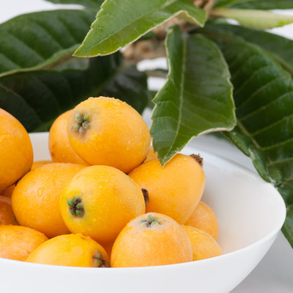 Imagem Fruto da N&ecirc;spera Enxertada