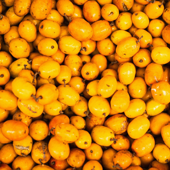 Imagem Fruto da N&ecirc;spera Enxertada